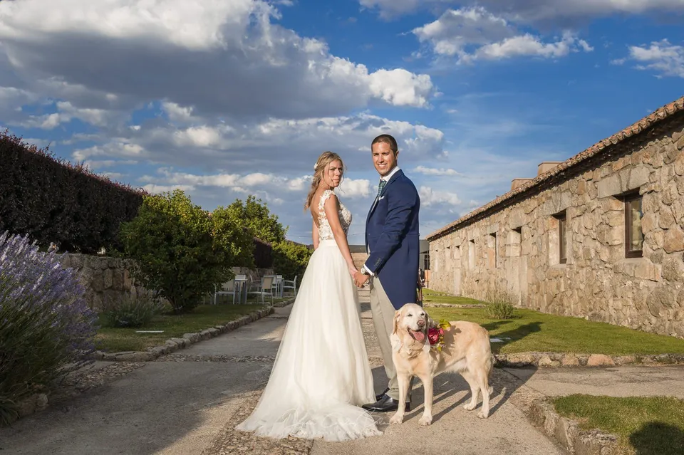 Boda en la Torre del Mayorazgo, Villatoro (Ávila)