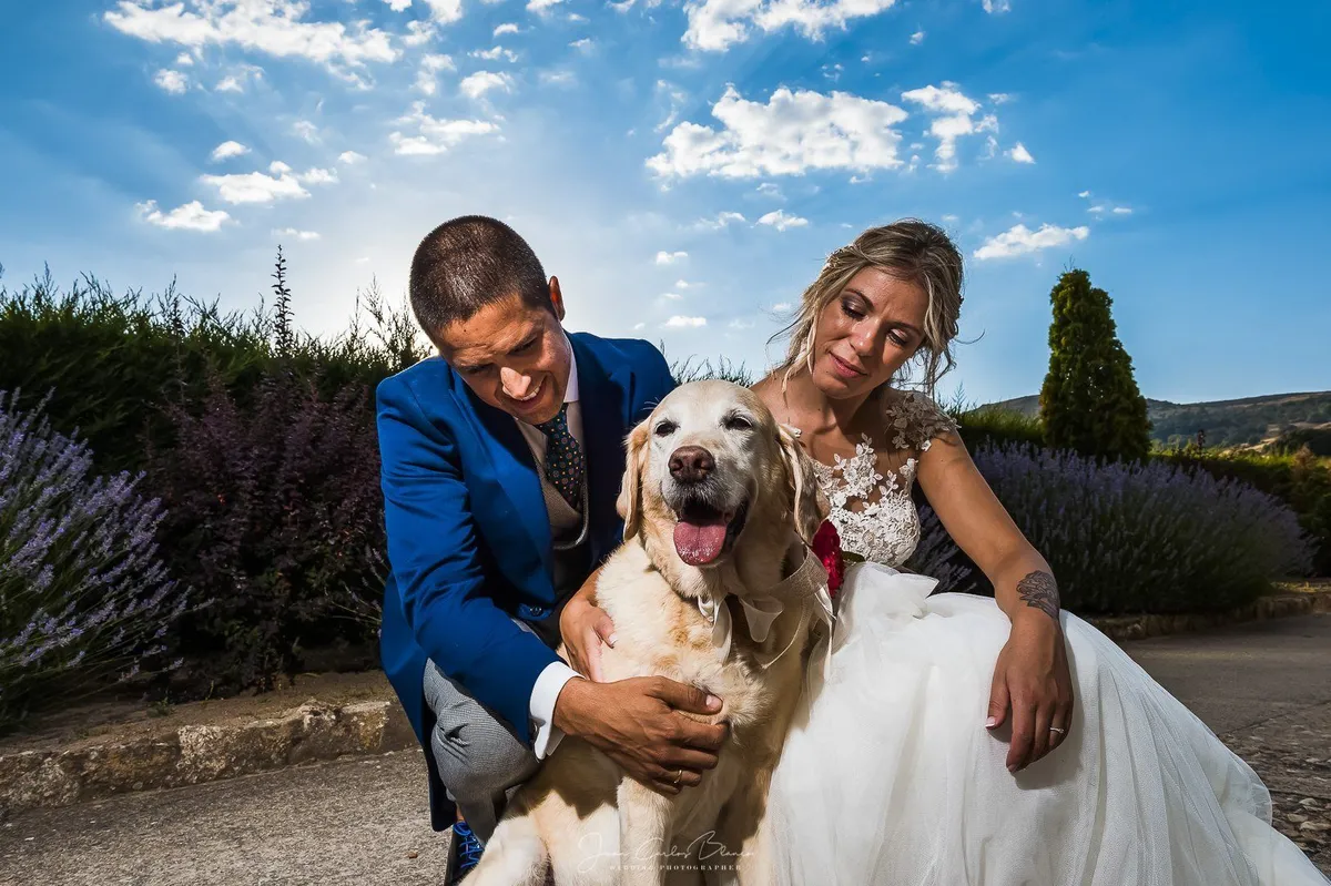 Fotografía de boda documental de Juan Carlos Blanco, fotógrafo de bodas en Ávila (28 de 79)
